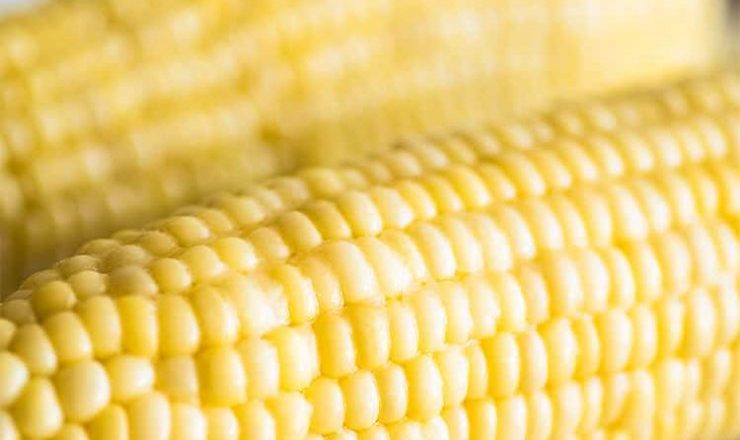 cook corn in the microwave