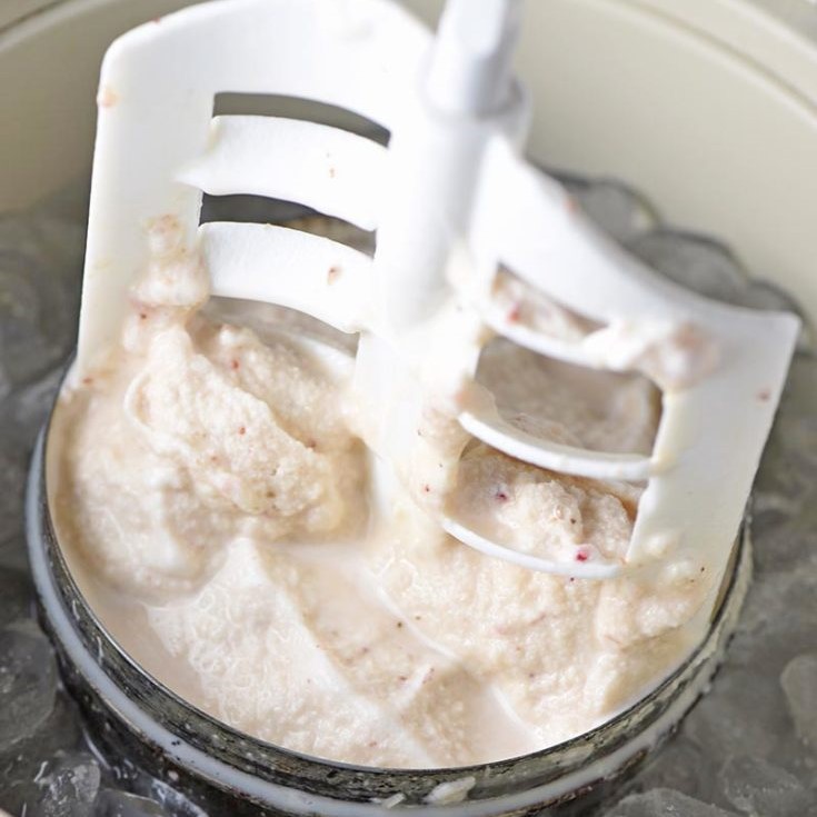 homemade ice cream